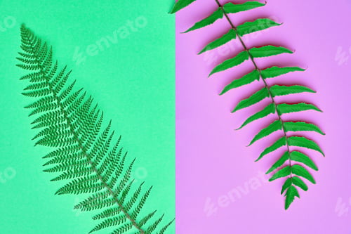 Preview: Minimal