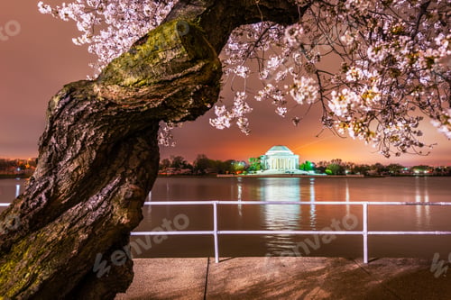Preview: Washington, DC at the Jefferson Memorial during spring