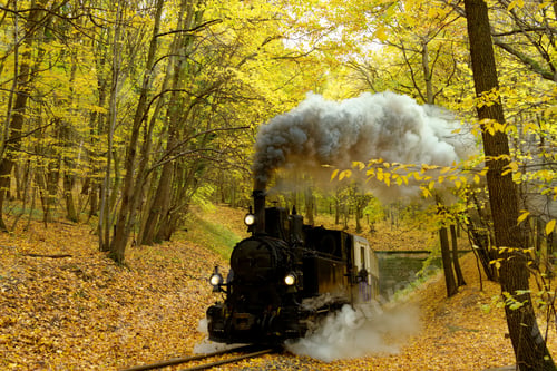 Preview: Old steam train in a beautiful golden forest in Budapest, Hungary