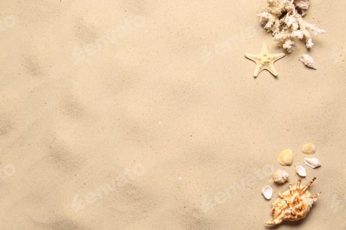 Preview: Flat lay composition with seashells on sand beach, space for text. Summer vacation