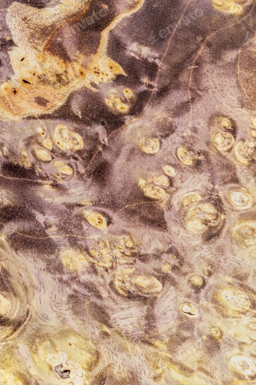 Preview: Macro photography of a stabilized wooden block with a color dye,