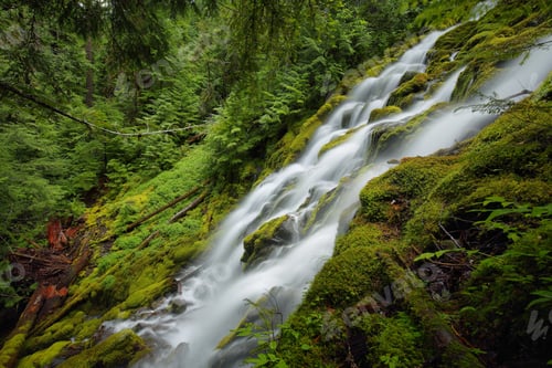 Preview: Proxy falls, Oregon