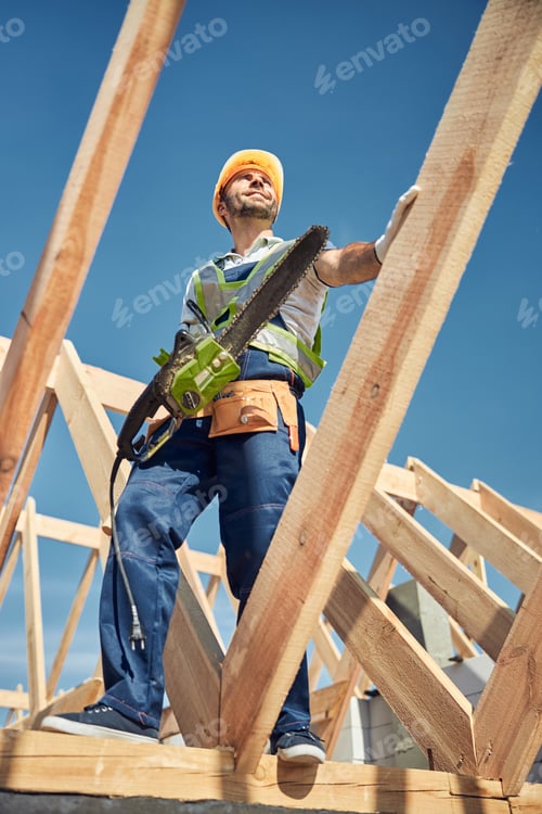 Preview: Handsome man standing on the frame for roof