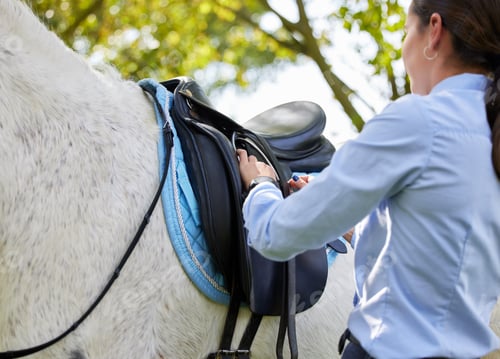 Preview: Time to saddle up. Shot of a unrecognizable woman getting ready to ride her horse in nature.