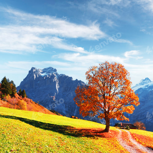 Preview: Picturesque autumn landscape in Grindelwald village
