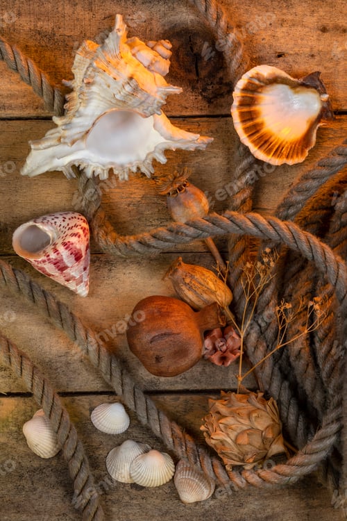 Preview: Nautical Still Life