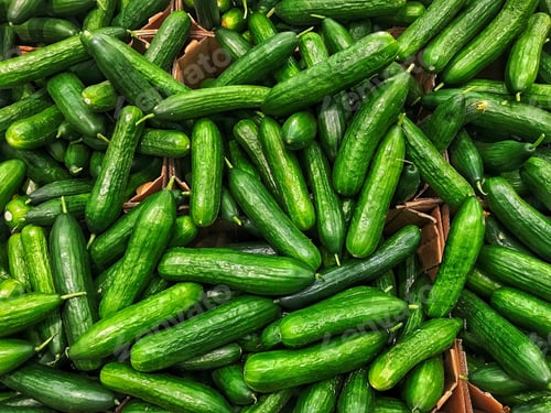 Preview: Cucumber background harvest