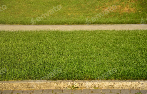Preview: A beautiful new walkway made of paving stone is located among the green grass