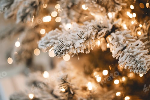 Preview: New year atmospheric lights on a chrismas tree with snow