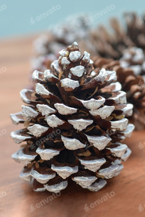Preview: Pine cones of different sizes on wooden background