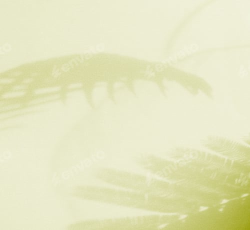 Preview: Green beige background wall shadow light