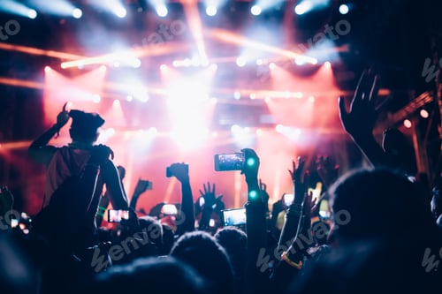 Preview: Portrait of happy crowd enjoying at music festival