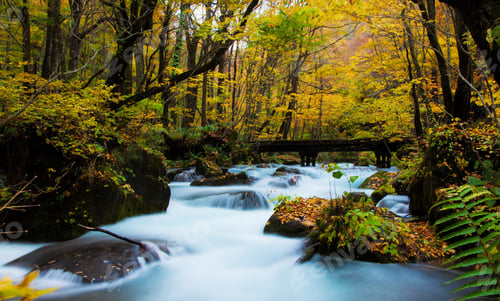 Preview: A Creative and Beautiful Japan pictures