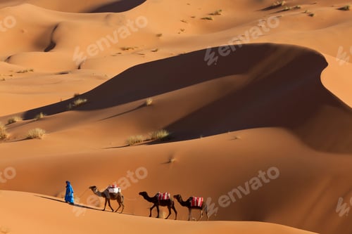Preview: Tuareg man leading camel train through the Sahara desert.