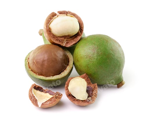 Preview: macadamia nuts on white background