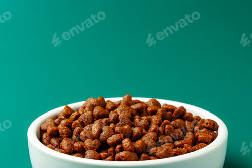 Preview: Bowl of dry pet food on green background