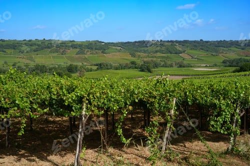 Preview: Country landscape near Lanciano, Abruzzo, Italy