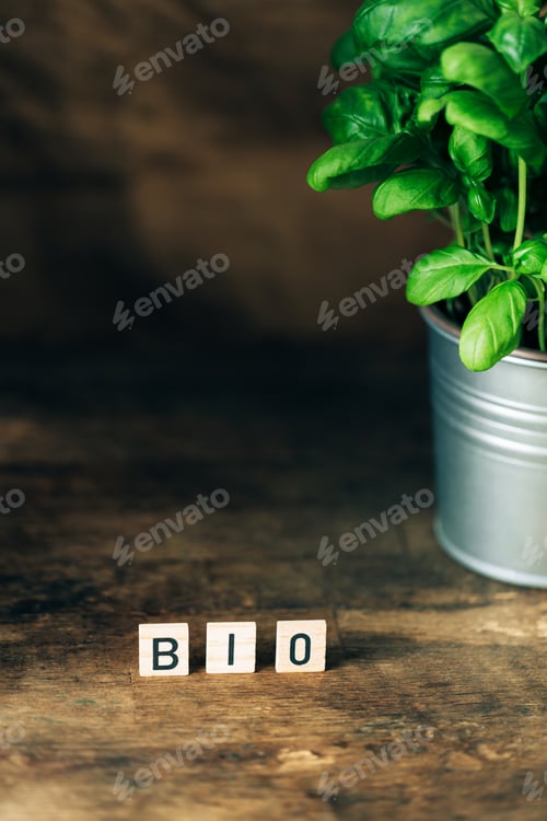 Preview: Dark wooden background with letters, pot of fresh basil and tomatoes.