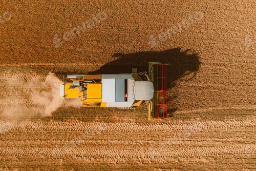 Preview: Aerial view of combine harvesting wheat in the field