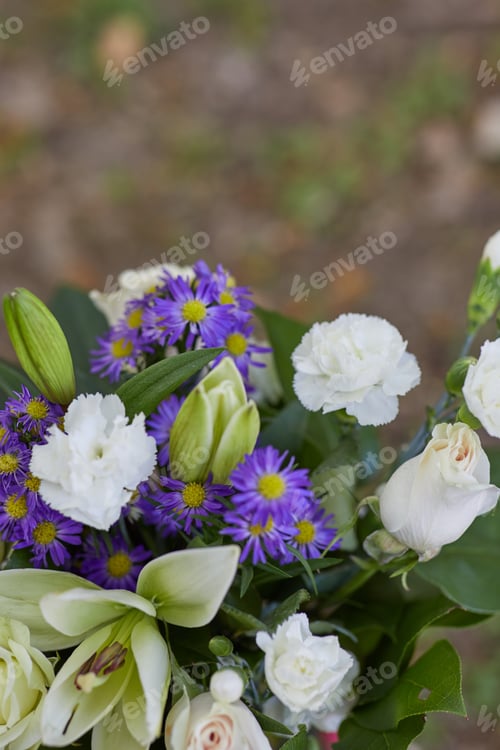 Preview: Vertical photo beautiful flowers at the Garden