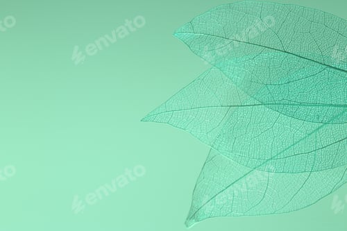 Preview: Beautiful skeleton leaves on light green background, macro view. Space for text