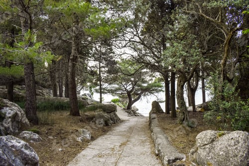 Preview: a coastal pathway in trpanj croatia