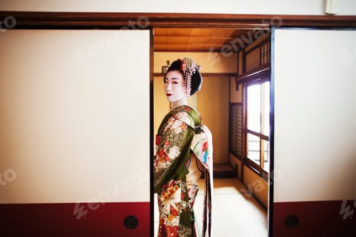 Preview: A woman dressed in the traditional geisha style.