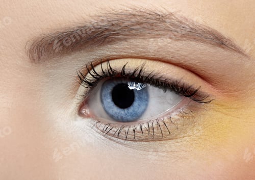 Preview: Close-Up Of Girl'S Eye Zone Make-Up
