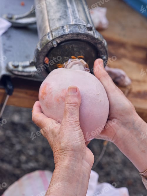 Preview: Elderly person stuffing bowl with meat