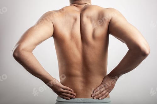 Preview: indian male body cropped view showing lower spine pain