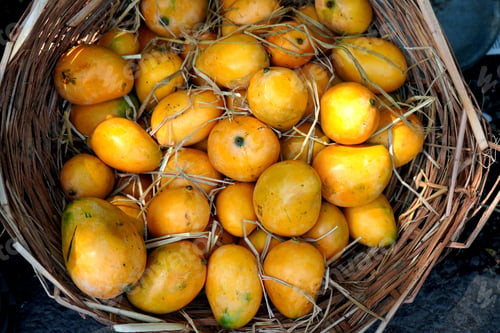 Preview: famous Indian Alphonso mangoes in the market.