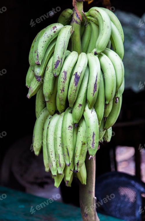 Preview: Green bananas