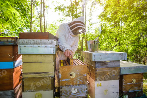 Preview: Beekeeper