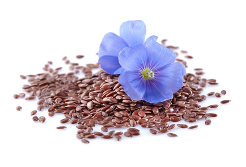 Preview: Flax seeds with flowers