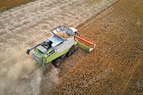 Preview: Aerial view of combine harvester working during harvesting season on large ripe wheat field.