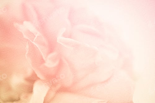 Preview: Sweet Color Roses In Soft Color And Blur Style On Mulberry Paper Texture