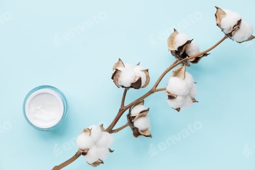 Preview: Cotton flower and hand or facial cream on blue background. Flat lay of skin care product