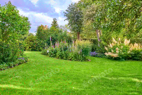 Preview: Garden dreams. A series of beautiful garden photos.