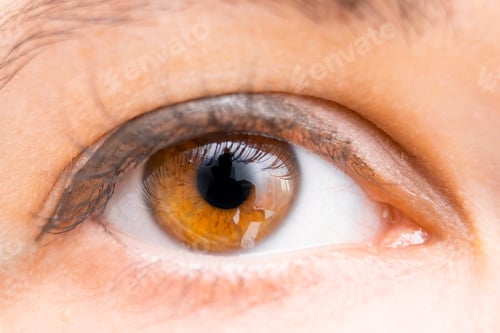 Preview: Close up womans brown eye