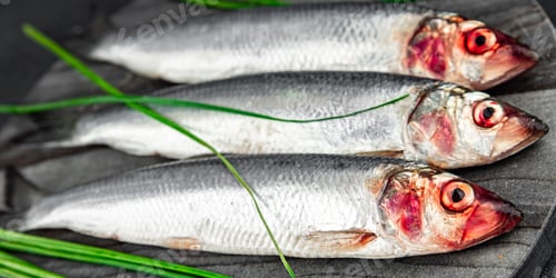 Preview: herring fish fresh raw seafood tasty eating cooking appetizer meal food snack on the table