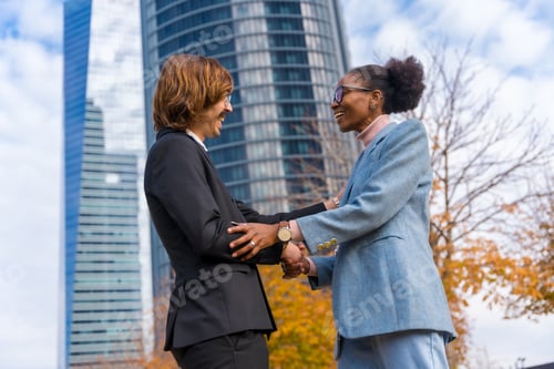 Preview: Middle-aged multi-ethnic businessmen and businesswomen, greeting colleagues, good work environment