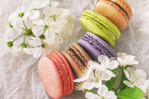 Preview: brown macaroons of red, brown purple, green and beige on white paper with apple blossoms