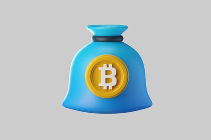 Preview: Bitcoin Money Bag