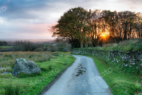 Preview: Country Lane in Cornwall