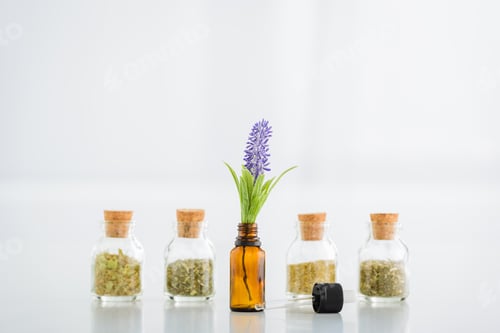 Preview: corked jars with dried herbs and bottle with hyacinth flower on white background