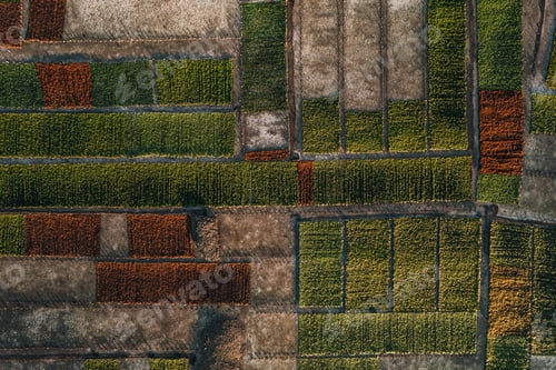 Preview: Aerial Drone Photo of Seaweed Farms in Nusa Lembongan Ceningan Bali Indonesia