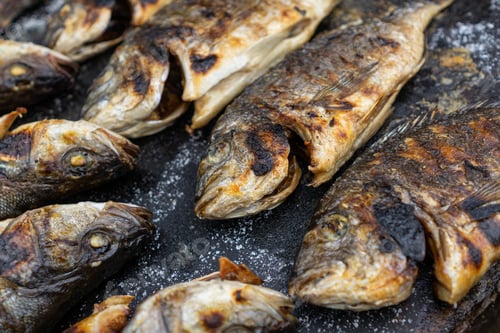 Preview: Closeup of Fish on Grill
