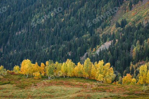 Preview: Autumn in the Mountains of Svaneti, Georgia