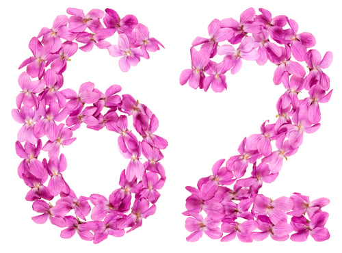 Preview: Arabic numeral 62, sixty two, from flowers of viola, isolated on white background