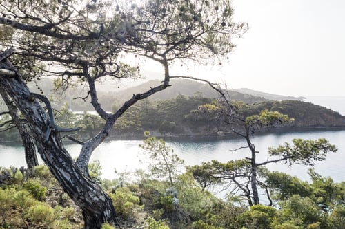 Preview: Turkey coast